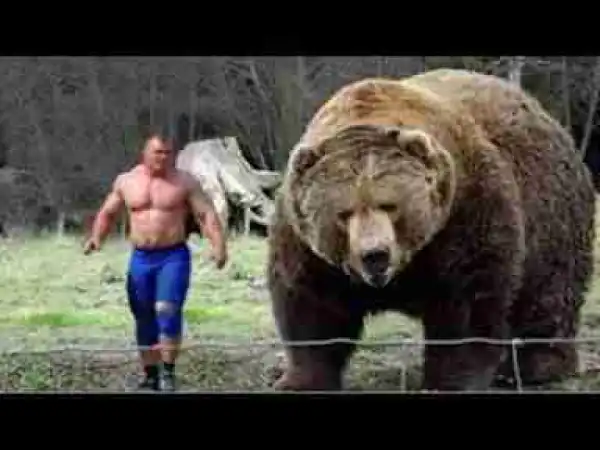 Video: TOP 10 BIGGEST BEARS IN THE WORLD || Polar Bear, Kodiak Bear, Brown Bear, Grizzly,...